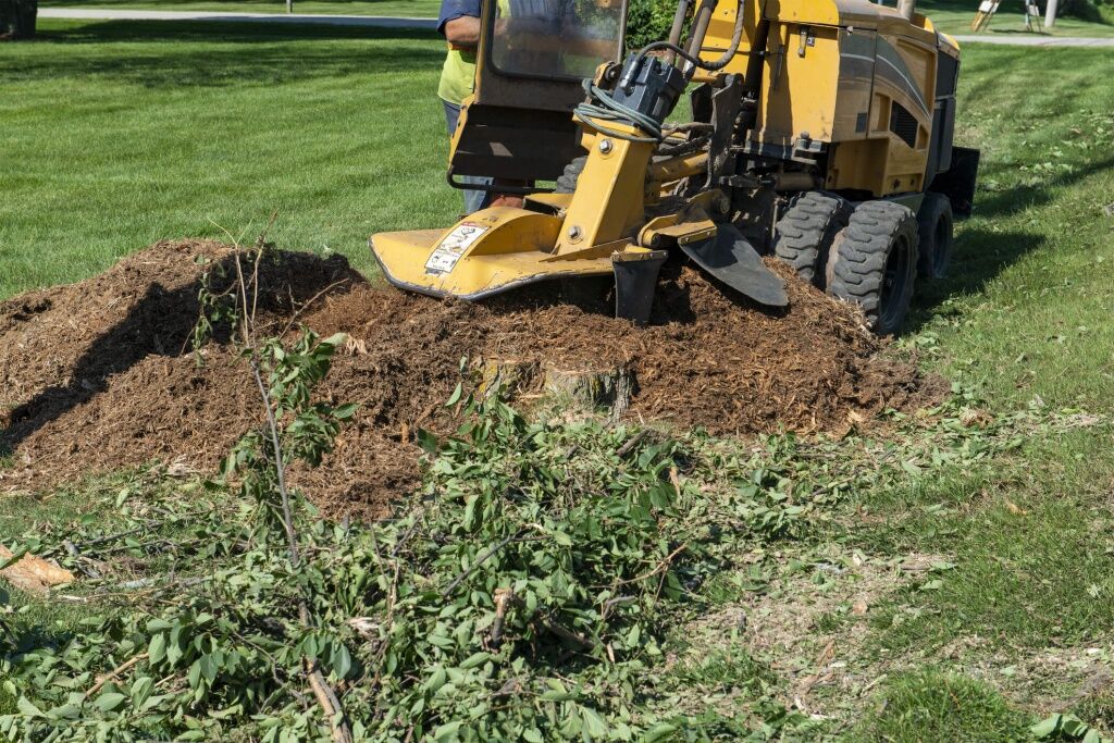Stump Grinding and Removal Services in Southern Indiana & Metro Louisville