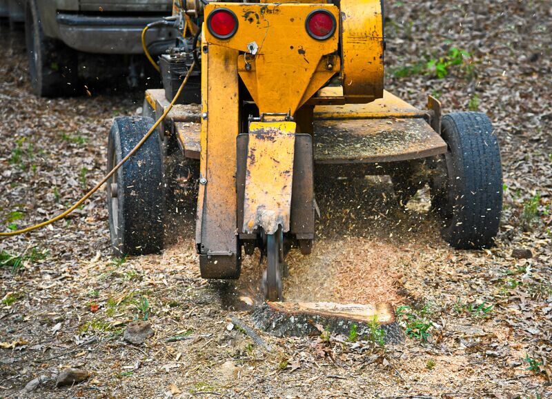 What To Do With Wood Chips From Stump Grinding