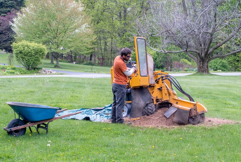 How To Clean Up After Stump Grinding